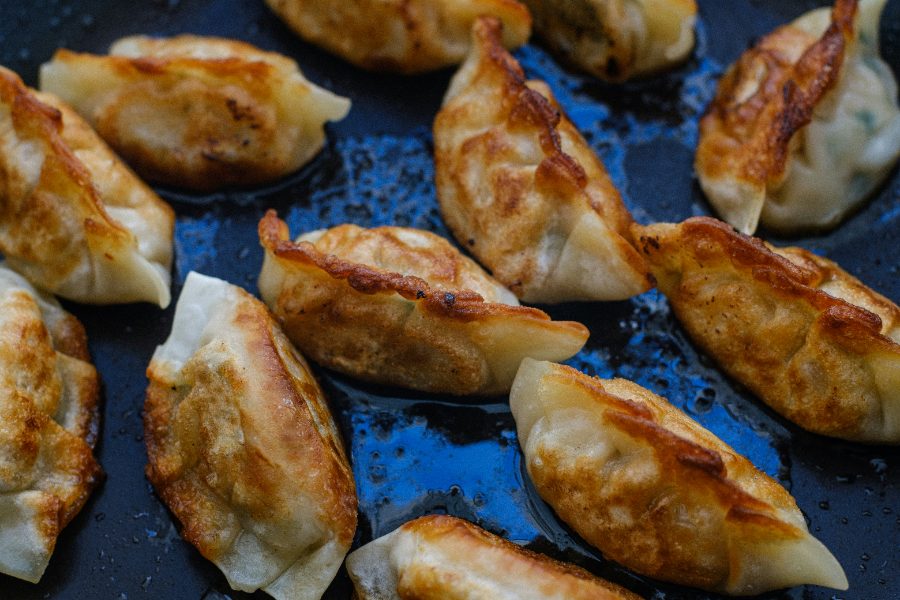 Gyozas de pollo y verduras